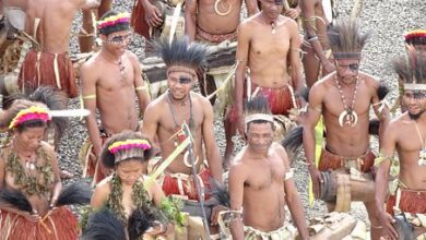 Warga Asli Papua